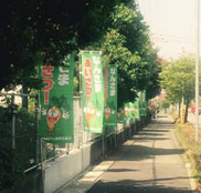 屋外にのぼりを立てる