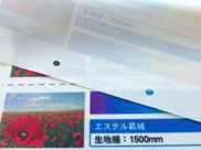 エステル葛城生地